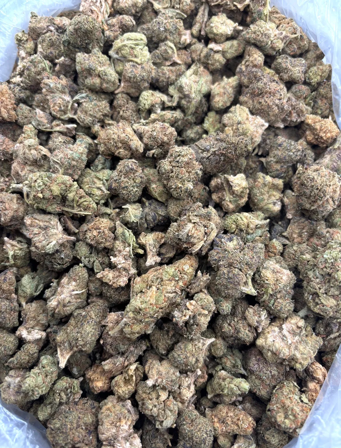 BLUE DREAM